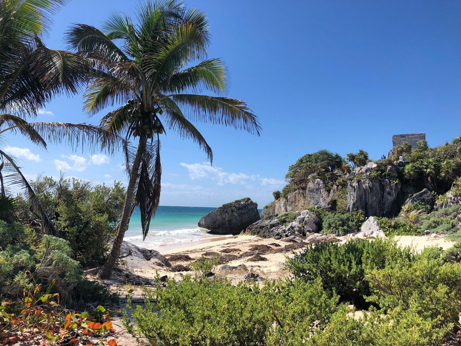Playa de Tulum con palmeras y las ruinas mayas sobre el acantilado, frente al agua turquesa