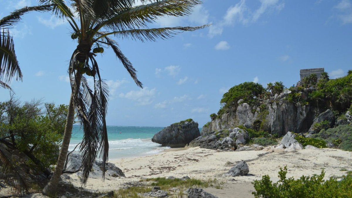 Tulum archaeological ruins perched on cliffs above Caribbean beach with palm tree