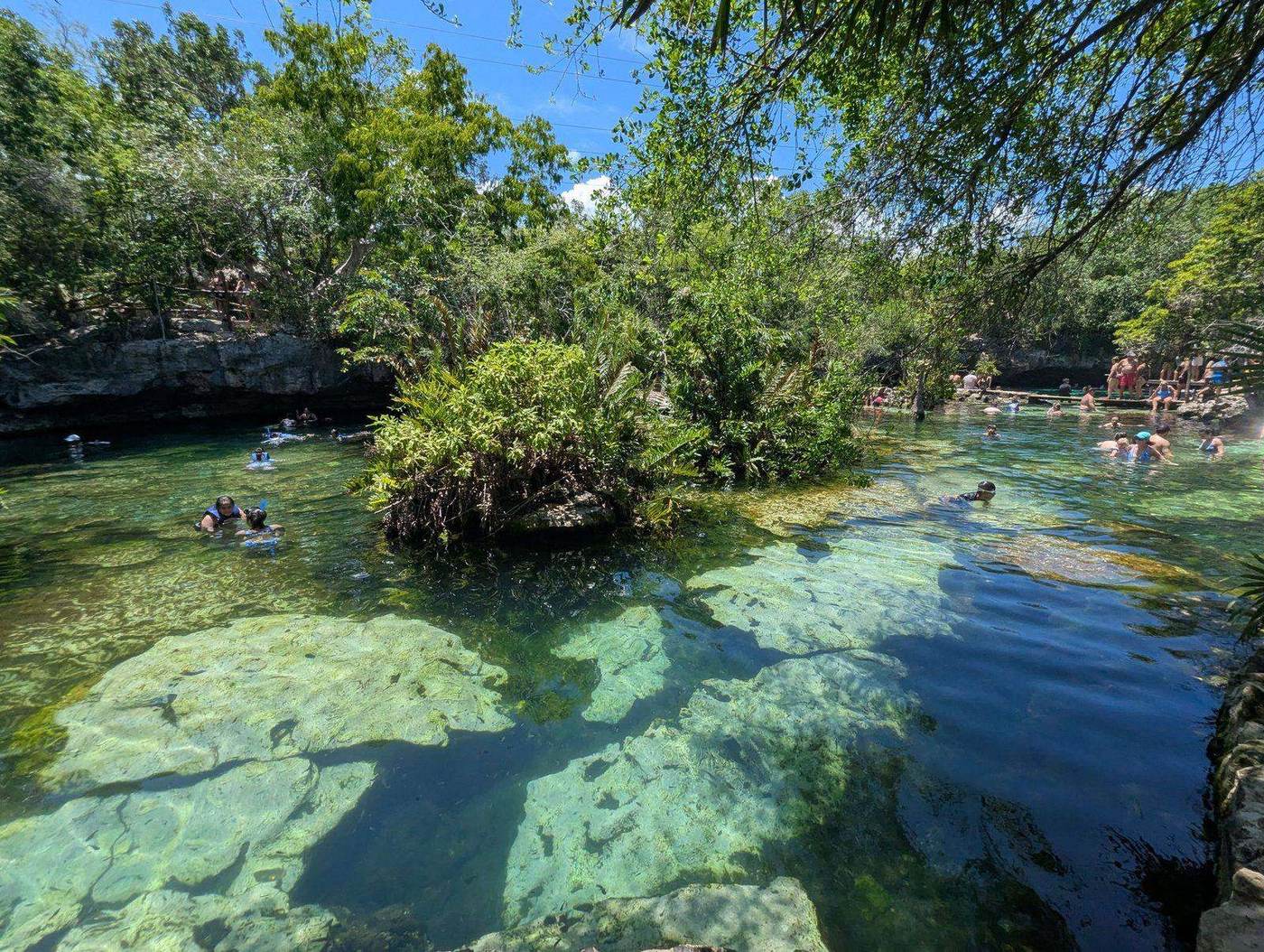 Family snorkeling in a crystal-clear open-air cenote in Tulum