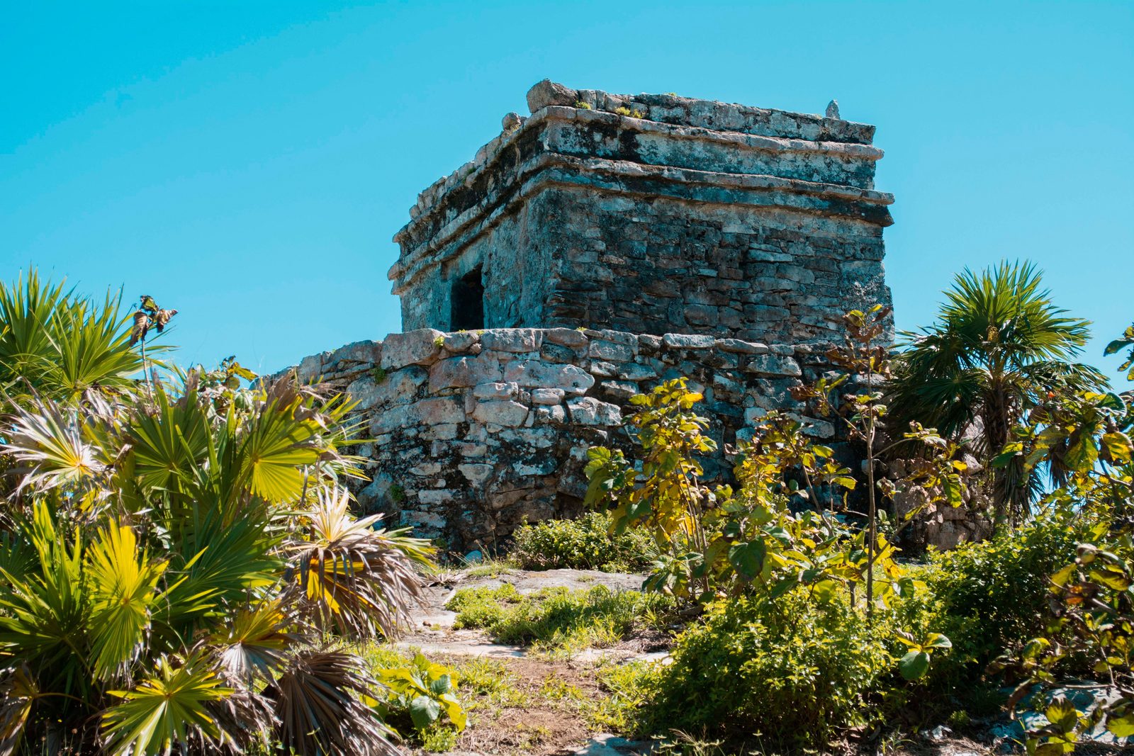 Cantería de un antiguo templo maya enmarcada por la selva en Tulum