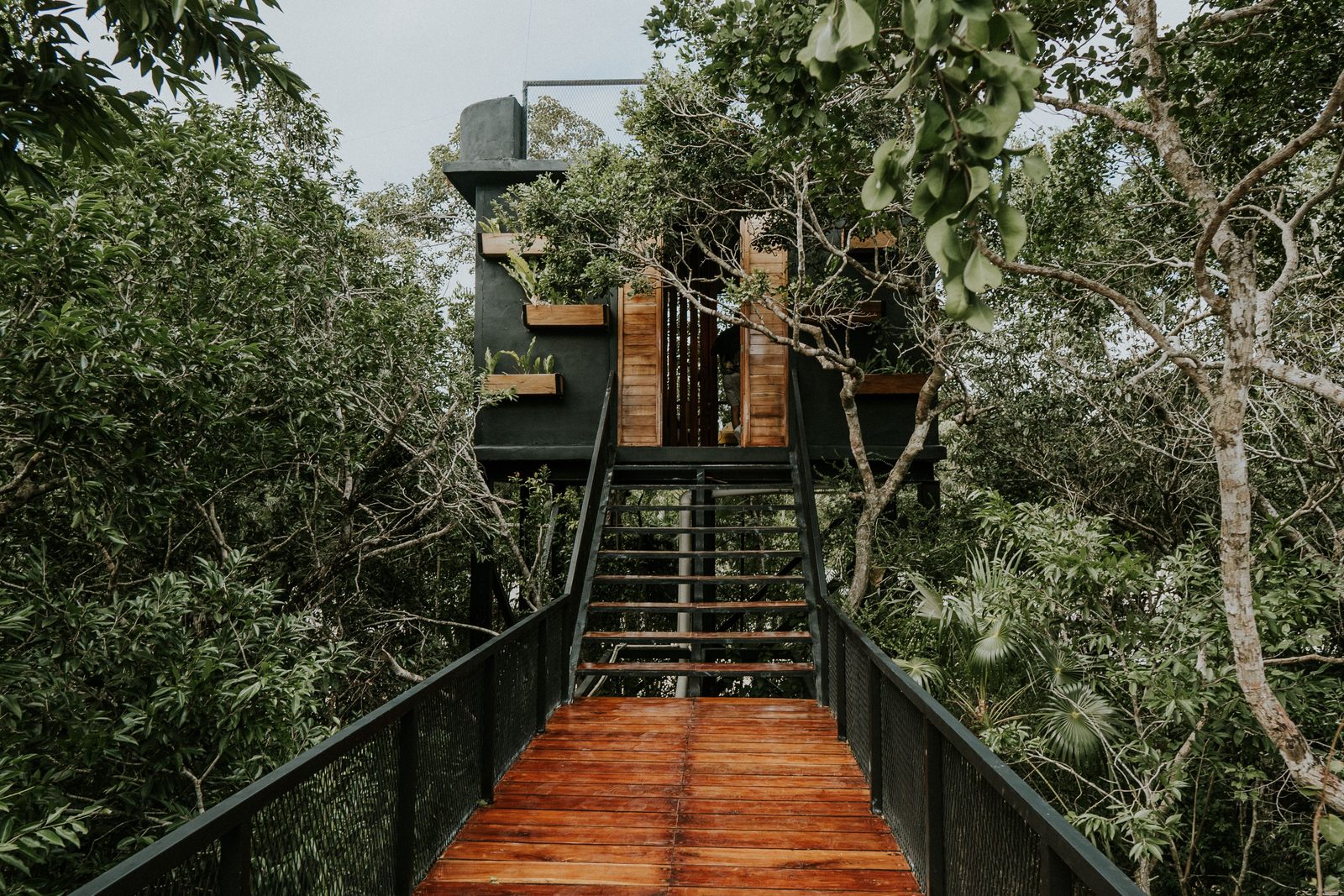 Tropical treehouse and cenote hidden in dense Tulum jungle greenery