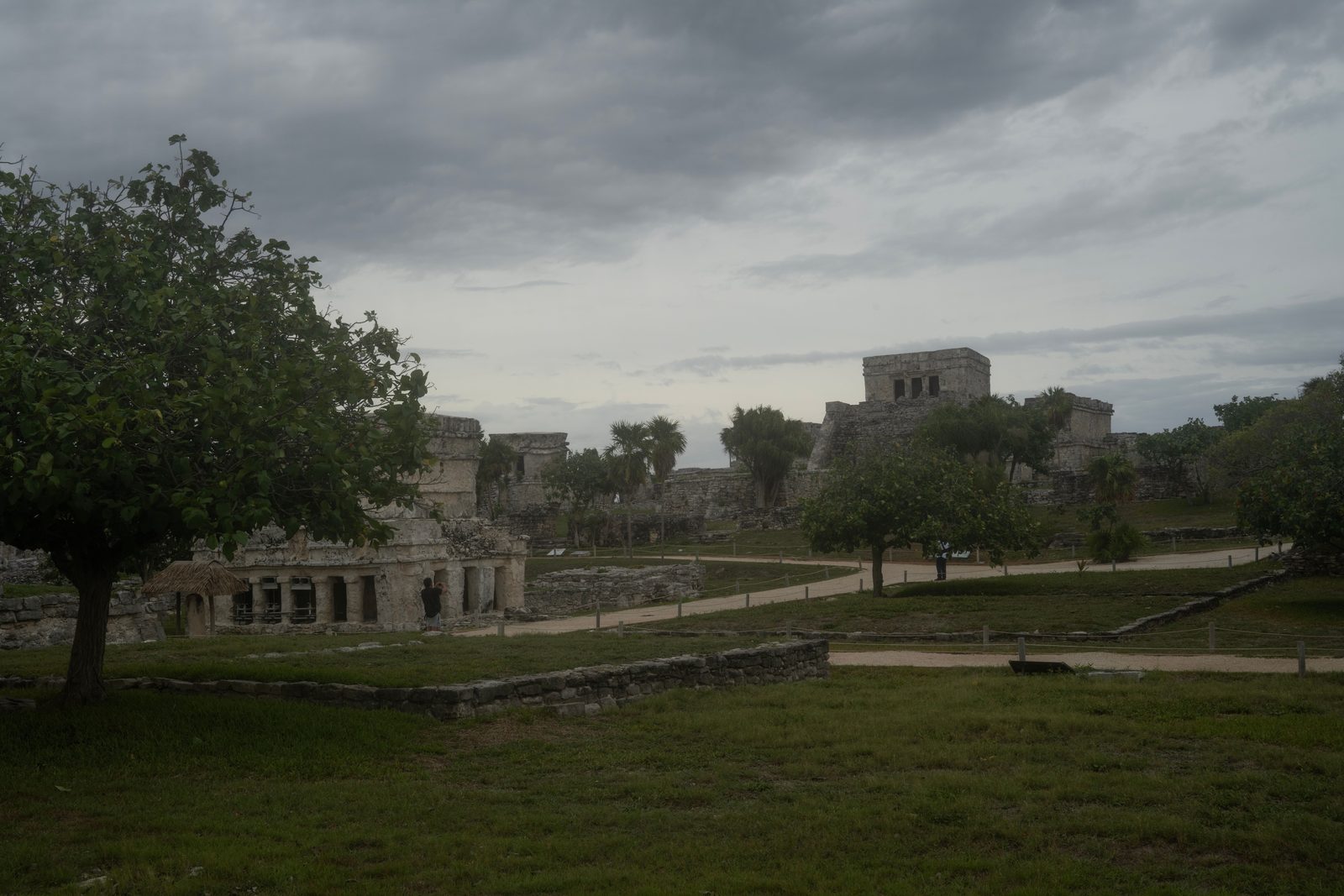 Lush green Tulum jungle surrounding ancient ruins, a natural setting for yoga and meditation